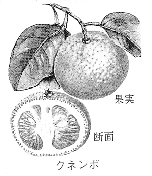 357-02