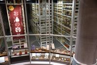 一支国博物館