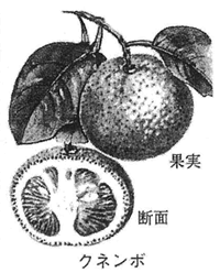 395-03