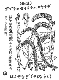 395-12