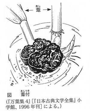 431-06